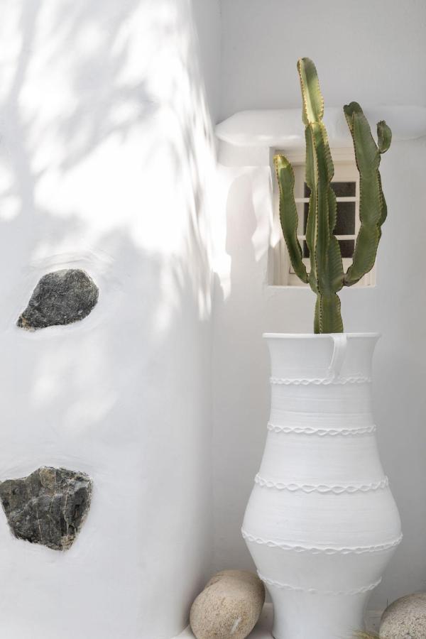 Cassaris Mykonos Villa Drafaki Exterior photo