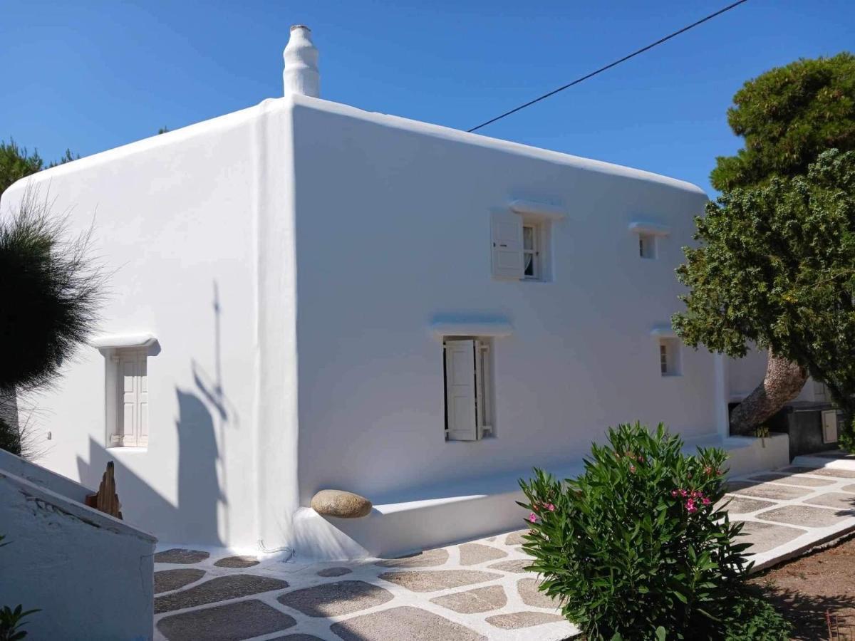 Cassaris Mykonos Villa Drafaki Exterior photo