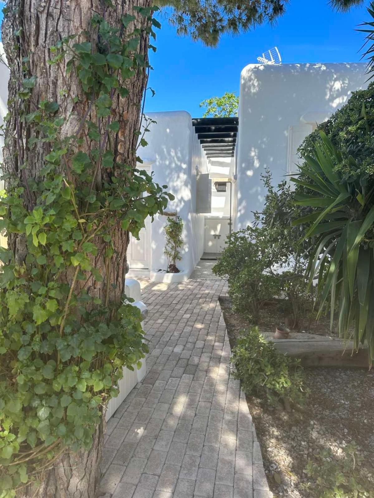 Cassaris Mykonos Villa Drafaki Exterior photo